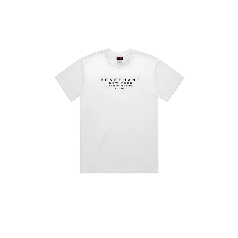 Benephant Embroidered Oversized Heavyweight T-Shir Apliiq
