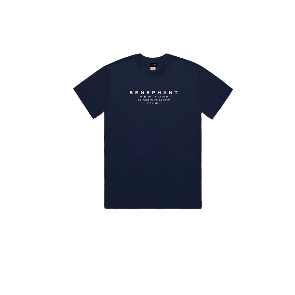 Benephant Embroidered Oversized Heavyweight T-Shir Apliiq