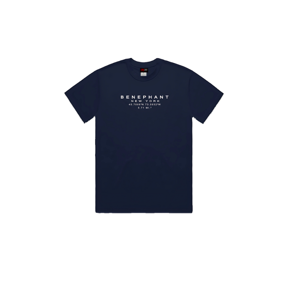 Benephant Embroidered Oversized Heavyweight T-Shir Apliiq