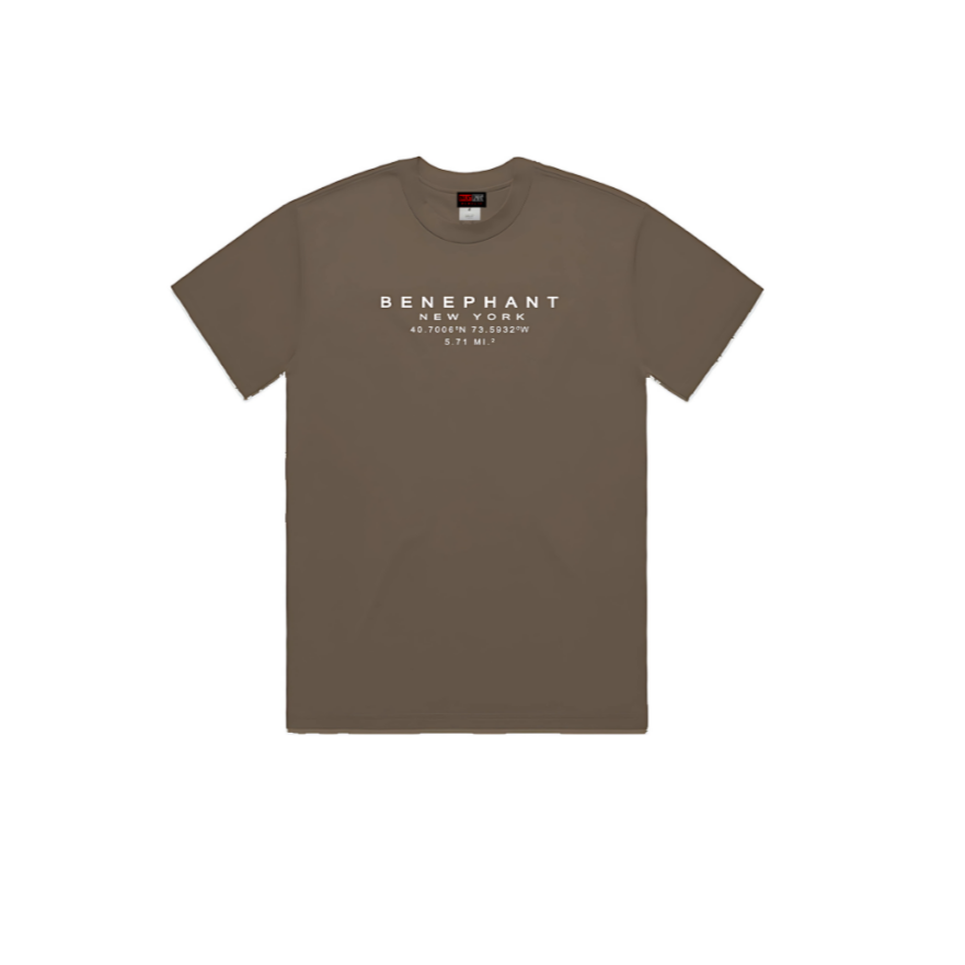 Benephant Embroidered Oversized Heavyweight T-Shir Apliiq