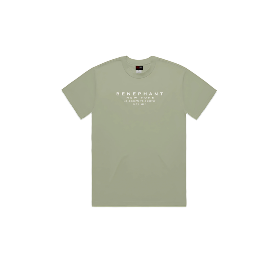 Benephant Embroidered Oversized Heavyweight T-Shir Apliiq