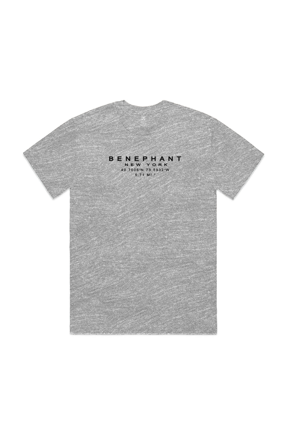 Benephant Embroidered Oversized Heavyweight T-Shir Apliiq