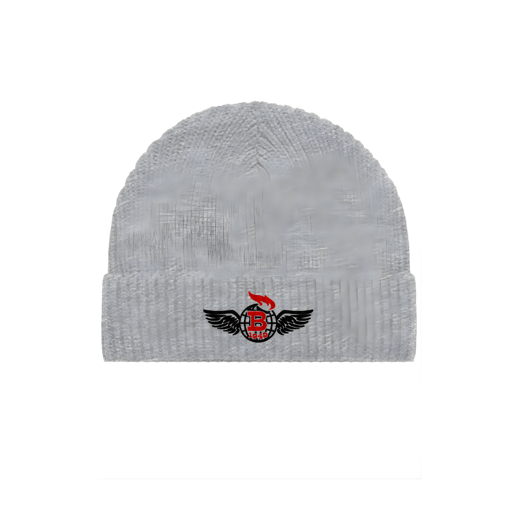 Liberty Torch Embroidered Beanie