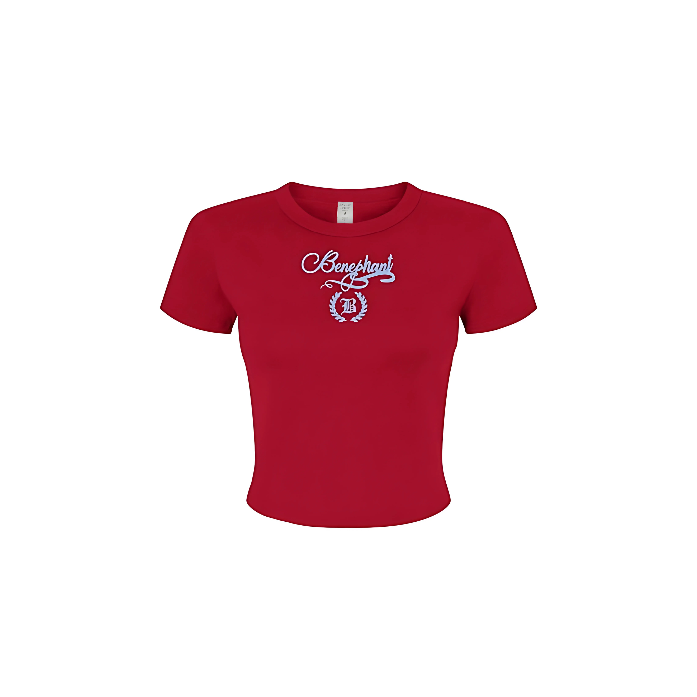Micro Ribbed Baby Crop Tee Apliiq
