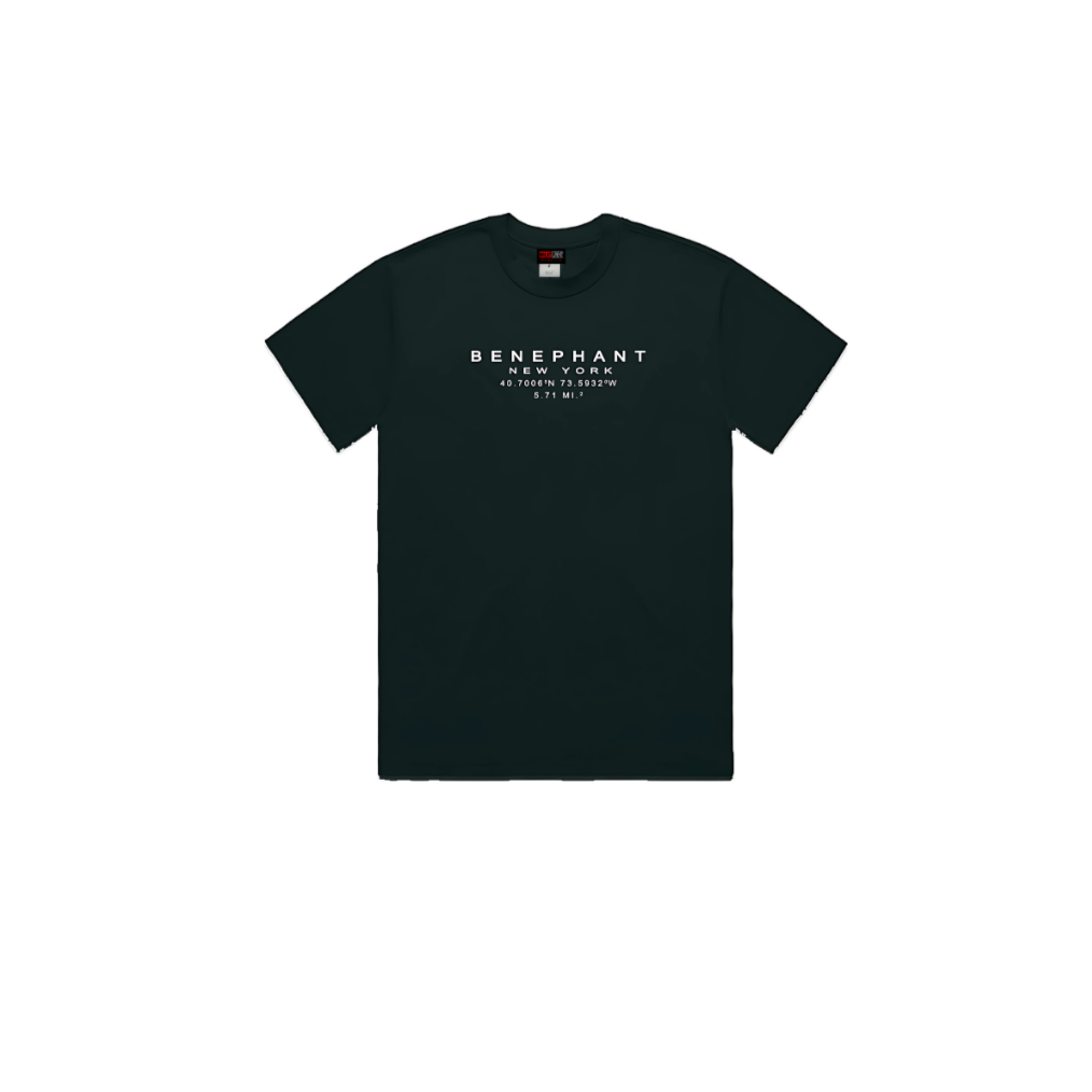 Benephant Embroidered Oversized Heavyweight T-Shir Apliiq