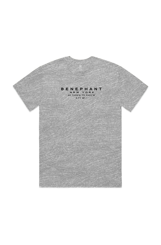 Benephant Embroidered Oversized Heavyweight T-Shir Apliiq