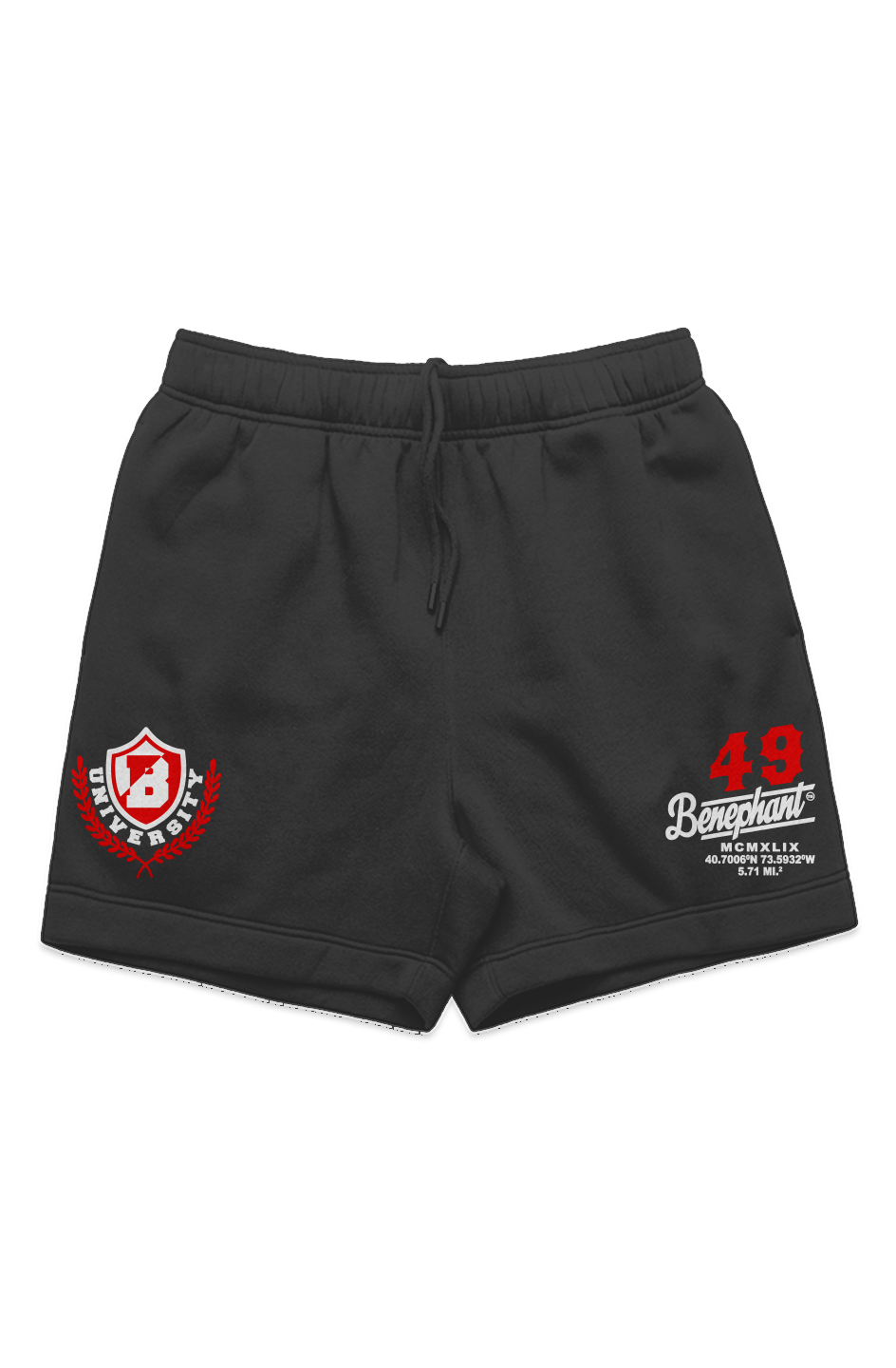 University Embroidered Heavyweight Sweatshorts