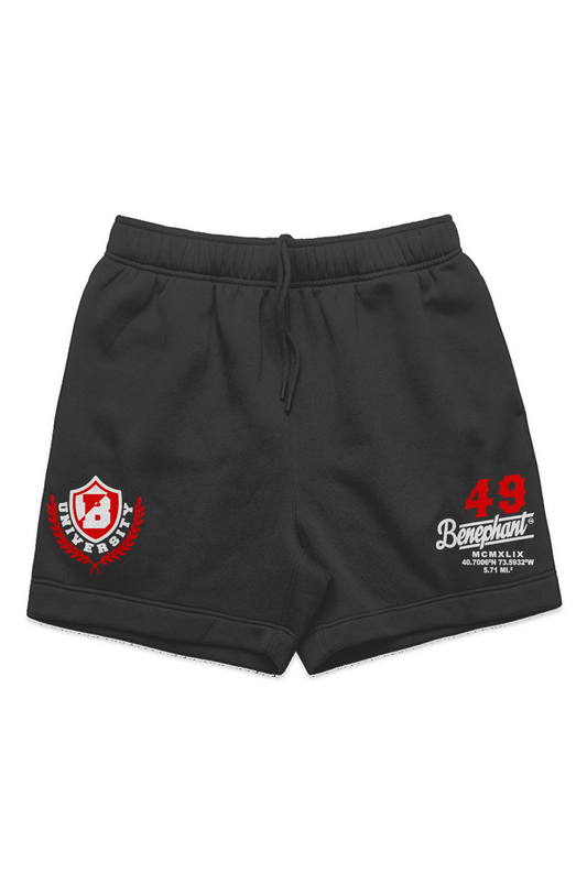 University Embroidered Heavyweight Sweatshorts