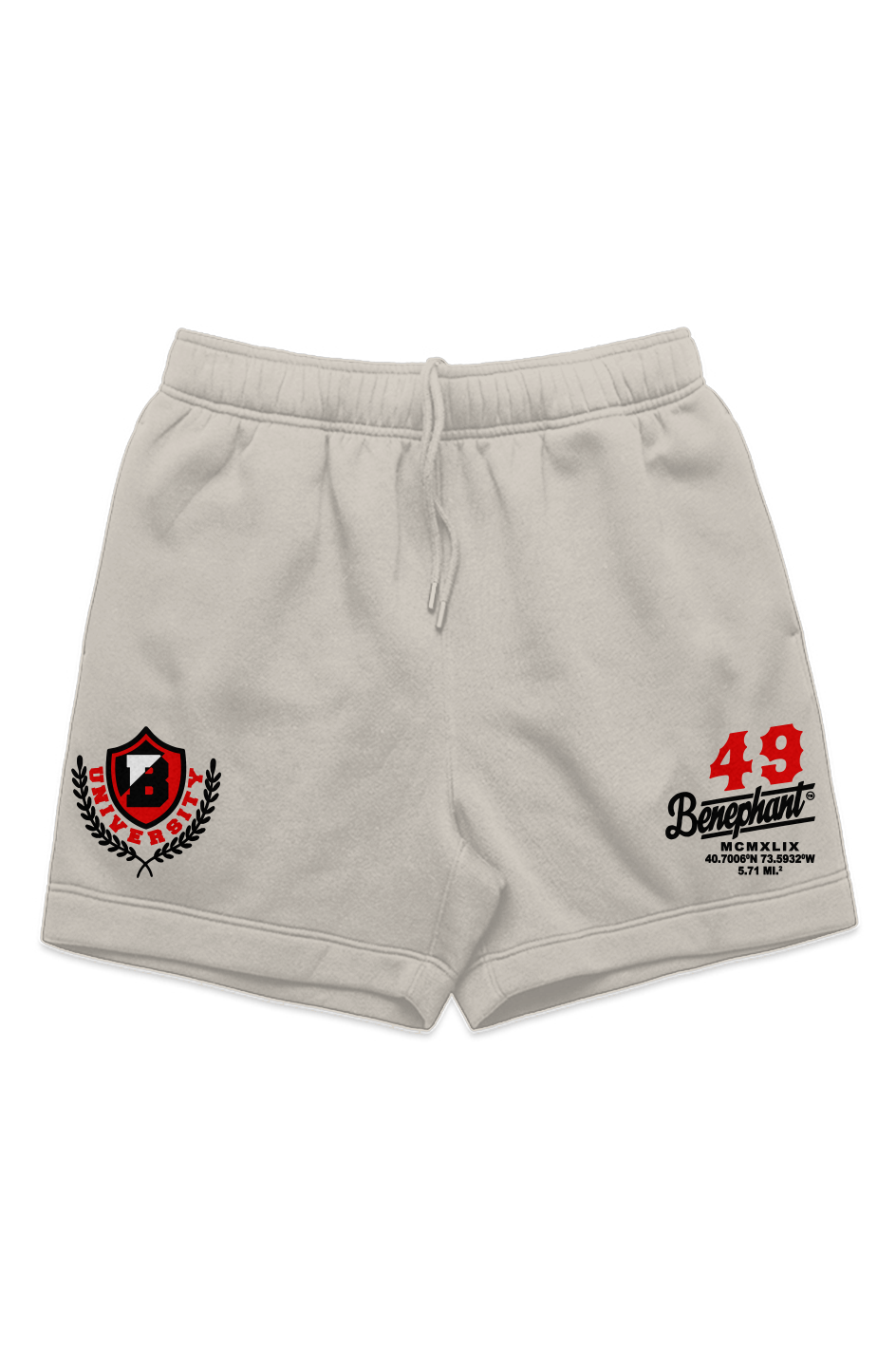 University Embroidered Heavyweight Sweatshorts