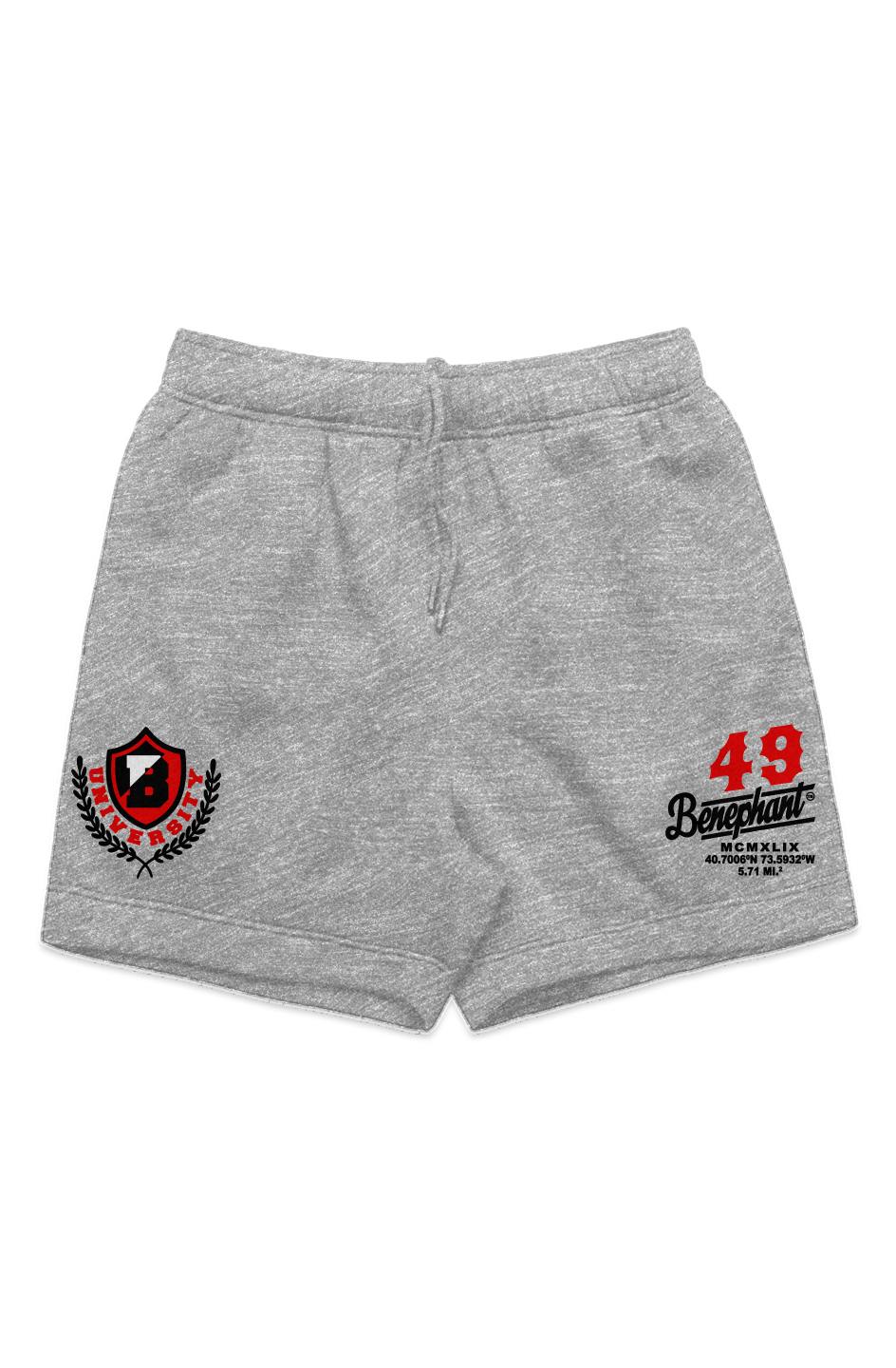 University Embroidered Heavyweight Sweatshorts