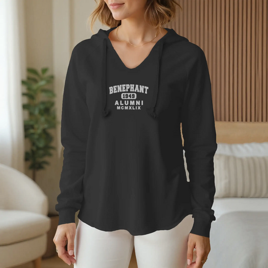 Alumni Embroidered Wash V-Neck Hoodie Sweatshirt