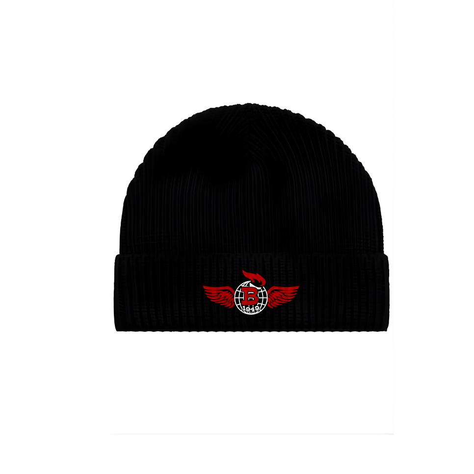 Liberty Torch Embroidered Beanie