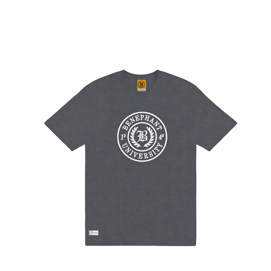 University T-Shirt Apliiq