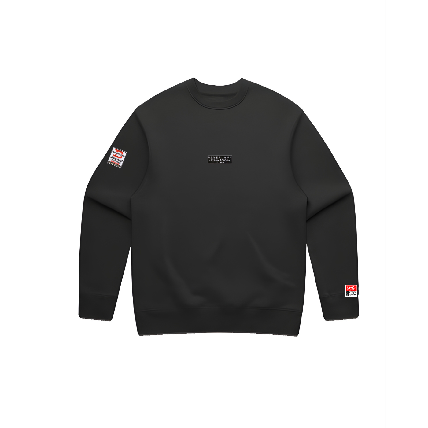 Latitude Oversized Patch & Embroidered Crewneck