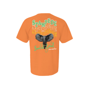 Stampede Heavyweight T-Shirt Apliiq