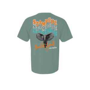 Stampede Heavyweight T-Shirt Apliiq