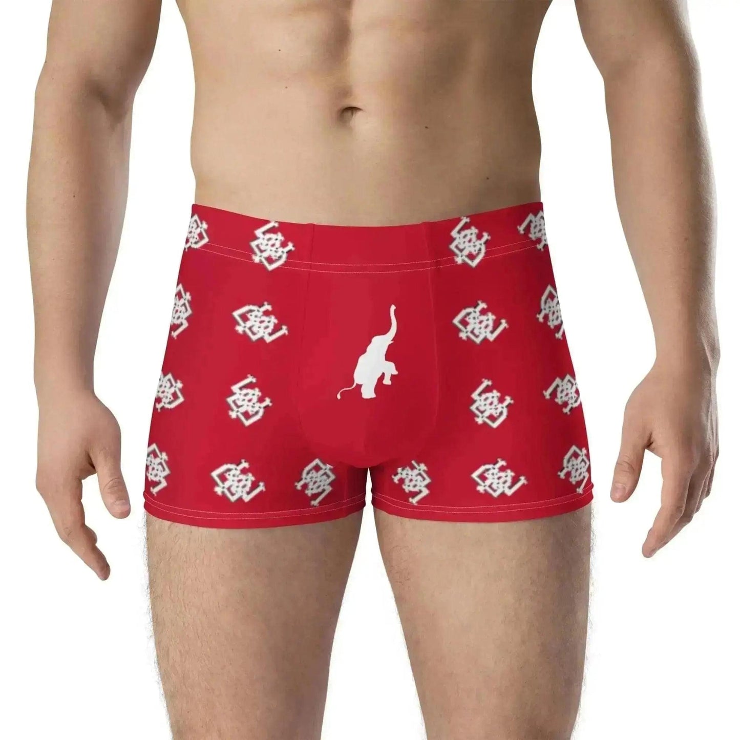 BE Boxer Briefs Benephant.com